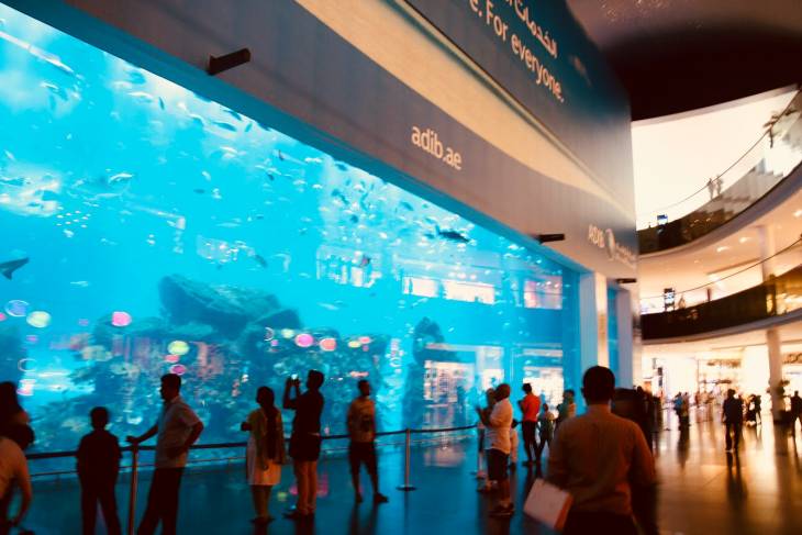 Aquarium in Dubai Mall