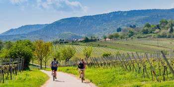 Fietsroute van het jaar 2022 RonReizen weinstrasse
