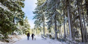 Duitsland Harz winterwandelen RonReizen.nl