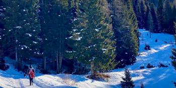 Italië Valsugana winter RonReizen.nl sneeuwschoenwandelen