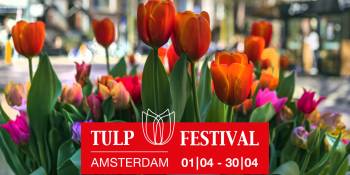 Nederland RonReizen.nl Tulpfestival Amsterdam