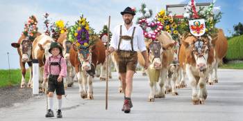 5 x Almabtrieb festival in Tirol
