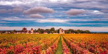 Frankrijk Bourgogne herfstvakantie RonReizen.nl