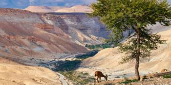 Israel natuurreservaten RonReizen.nl