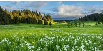 lente-in-montagnes-du-jura