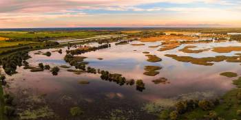 Kroatië Slavonië RonReizen.nl wetlands