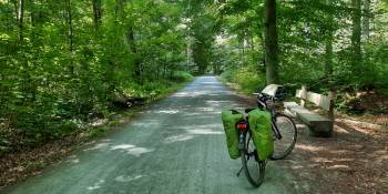 België Eurovelo 5 Bert Sitters RonReizen.nl bos
