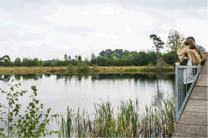 De mooiste wandelgebieden van Vlaanderen - RonReizen