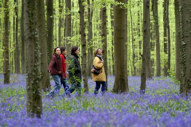 De mooiste wandelgebieden van Vlaanderen - RonReizen