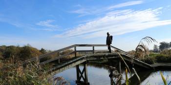 Nederland top 100 wandelroutes Holidu RonReizen.nl