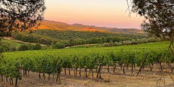 Zonsondergang over Castellina in Chianti en de wijngaarden