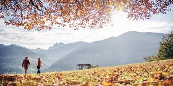 Italië Zuid-Tirol Törggelen vijfde seizoen herfst RonReizen.nl wandelen