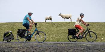 TERSCHELLING - Fietsers en schapen op Terschelling - RonReizen