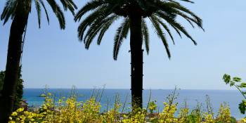 Ontdek Ligurië: een reisgids voor de kustregio in noordwest Italië