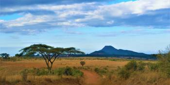 Malawi geen visumplicht meer RonReizen.nl