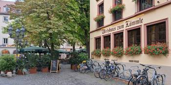 Duitsland fietsen Main Radweg Bert Sitters RonReizen.nl