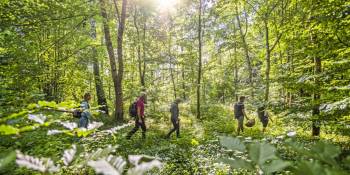 Groene wandelroutes in Skåne.