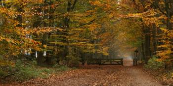 Nederland nationale parken wandelen fietsen RonReizen.nl Herfstlandschap