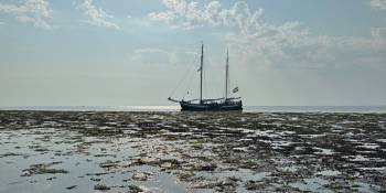 droogvallen waddenzee zeilboot