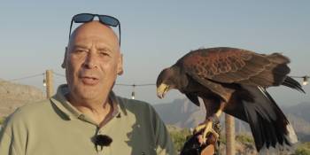 Ras al-Khaimah RRTV RonReizen.nl Valk