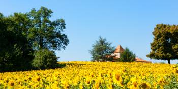 Frankrijk prijsvraag RRTV RonReizen.nl