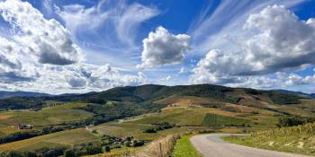 Frankrijk Beaujolais Monique RonReizen.nl