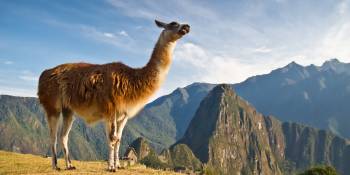 Peru nieuws RonReizen.nl