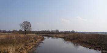 Dui Ned Vechtroute fietsen Bert Sitters RonReizen.nl Vecht