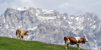 Oostenrijk Tiroler Zugspitz Arena lente wandelen RonReizen.nl