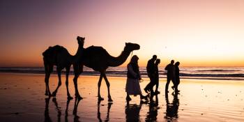 Oman Jewel of Arabia Expeditie RonReizen.nl