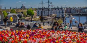 Nederland Tulp Festival Amsterdam 2025 RonReizen.nl