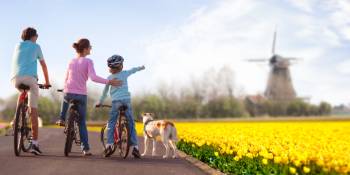 Nederland fietsen bollenstreek RonReizen.nl