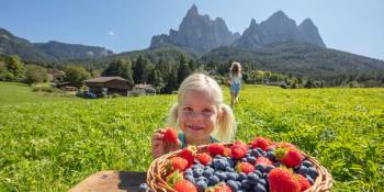 Italië Zuid-Tirol Roter Hahn boerderijvakantie RonReizen.nl