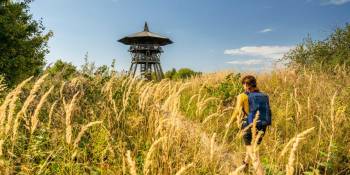Hermannshöhen: wandelen in het land van de legendarische Hermann
