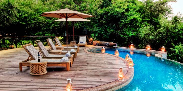 Dagboek Daniëlle in Afrika, deel 4: olifanten en krokodillen