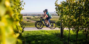 Burgenland (2): fietsen door het wijngebied van Oostenrijk