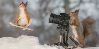 Wintersport: 4 alternatieven voor de Alpen