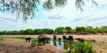 Winactie Zuid-Afrika: dit zijn de winnaars!