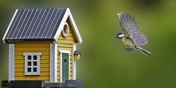 Reistrend: de kleinste Airbnb’s worden het meest geboekt