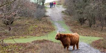 RonReizen TV: De wereld ligt gewoon in Nederland