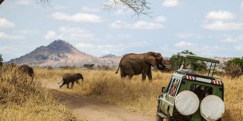 Safari in Zuid-Afrika