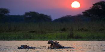 Liwonde National Park, Malawi