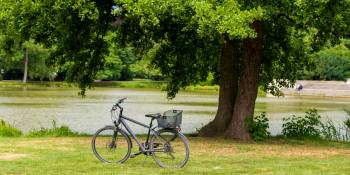 Fietsen in Nedersaksen
