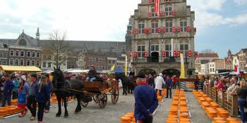 Gouda
