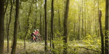 Fietsvakantie langs rivier de Morava in Tsjechië
