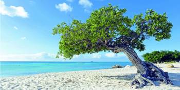 Aruba