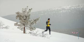 Hardlopen Lapland