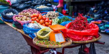 RonReizen reisverhalen en tips over culinaire bestemmingen.