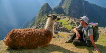 Verdrijf de saaiheid met deze grappige en schattige dierenfilmpjes