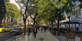 24 uur in Funchal op bloemeneiland Madeira